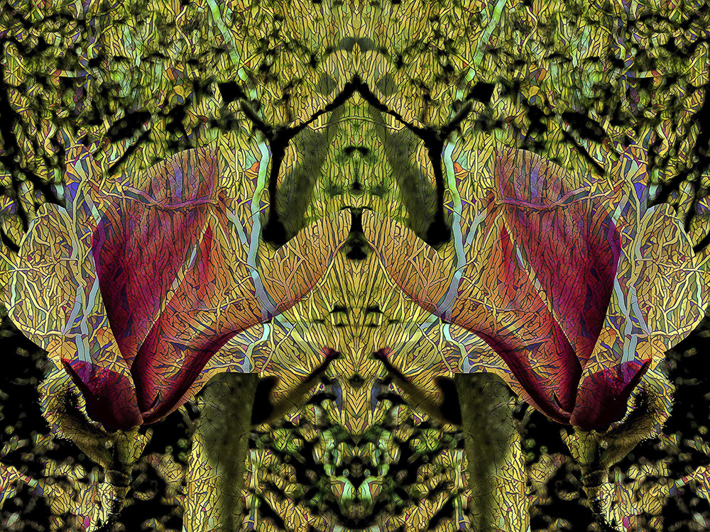 Michael Endicott_Shaman
